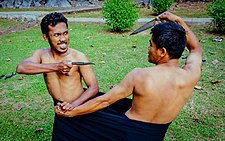 Sitobo lalang lipa or tarung sarong, a duel in a sarong using a badik, is found in Bugis and Makassar cultures