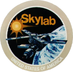 Skylab Insignia