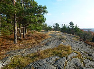 Solbergaskogen, sydbranten