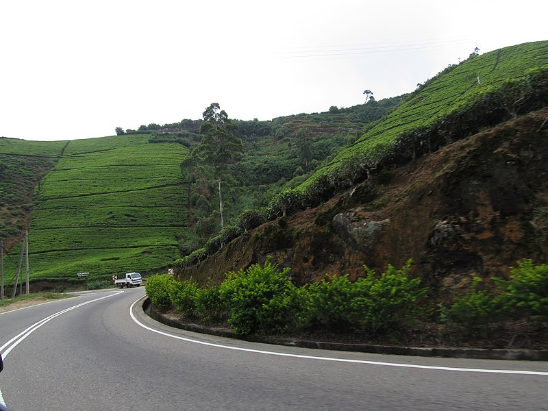 File:Sri lankan roadside.jpg