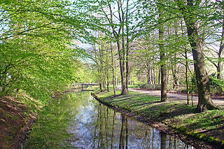 Dalke river in Germany