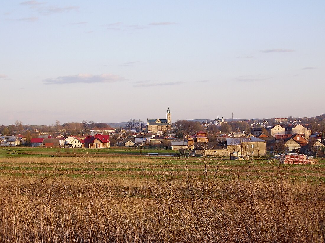 Стара Весь (Підкарпатське воєводство)