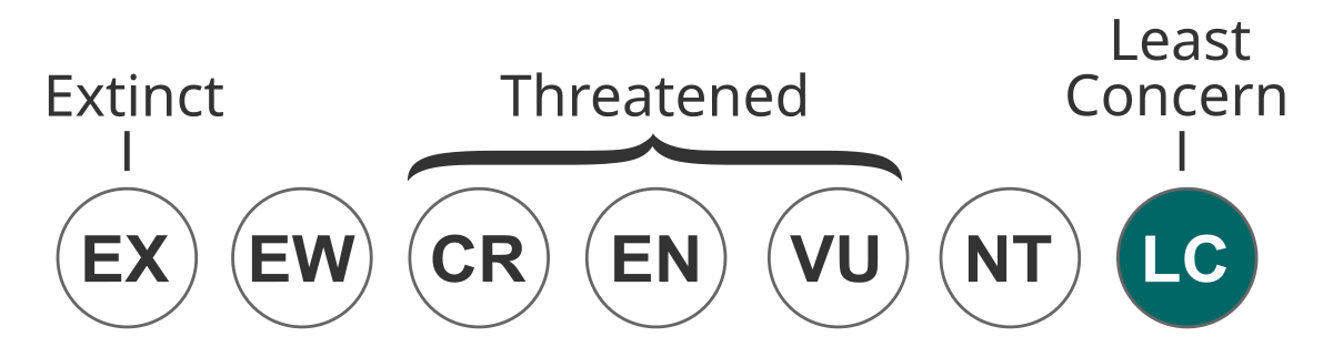 ファイル Status Iucn3 1 Lc Svg Wikipedia