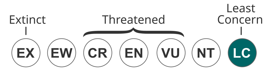 File:Status iucn3.1 LC.svg