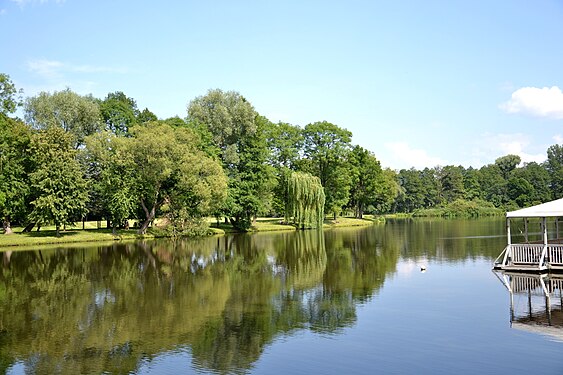 Staw w Radziejowicach.