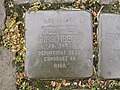 der Stolperstein für Siegfried Hirschberg vor dem Haus Josef-Kohlschein-Straße 24 in Warburg