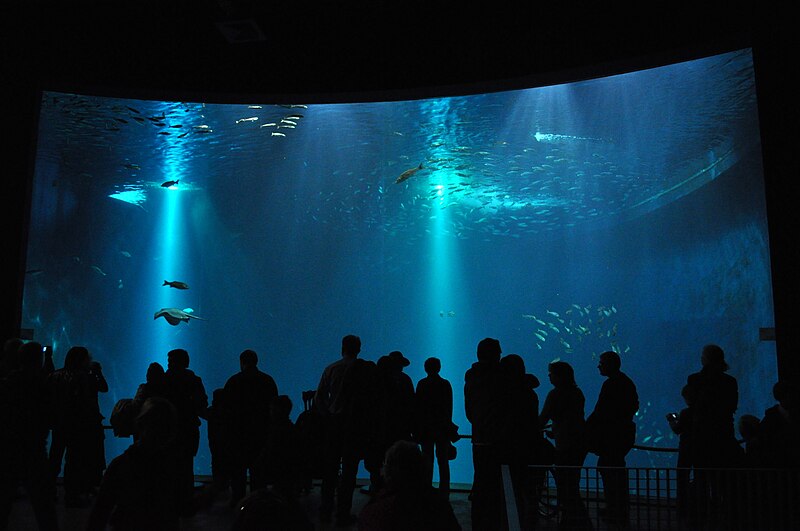 File:Stralsund, Ozeaneum, Kreideküste (2010-10-18) b.JPG