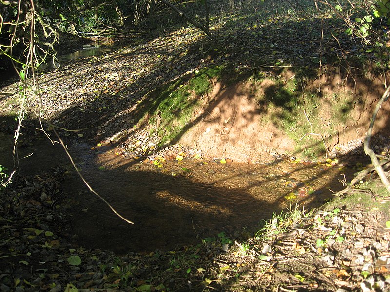 File:Stream bed in Cinderlands Brake - geograph.org.uk - 2167896.jpg