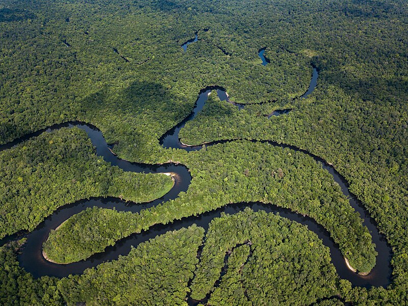 File:Stung Proat Cardamom Mountains.jpg