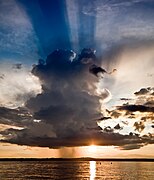 Cumulonimbus calvus against sunlight with rain falling beneath it as a rain shaft (praecipatio)