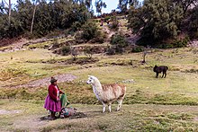 Tambomachay, Cuzco, Peru Tambomachay, Cuzco, Peru, 2015-07-31, DD 93.JPG