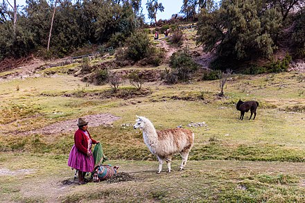 Tambomachay, Cuzco, Peru