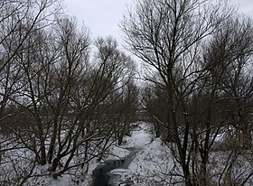 Tavla river Makarovka.jpg
