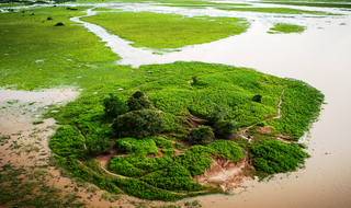 <span class="mw-page-title-main">Monte de Teso dos Bichos</span> Archeological site in Pará, Brazil