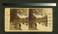 The Picturesque of Druid Hill Park, Baltimore (NYPL b11707491-G90F214 037F).tiff
