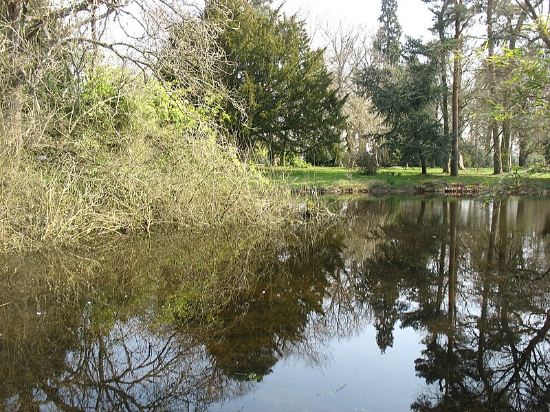 File:The pond at Finchers House, Beamond End - geograph.org.uk - 4425206.jpg