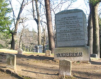 English: The Thoreau family gravesite in Sleep...