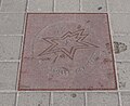 Toller Cranston's star on Canada's Walk of Fame