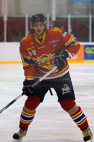 <span class="mw-page-title-main">Tomáš Bokroš</span> Slovak ice hockey player