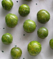 Green Zebra tomatoes TomateGreenZebra.jpg