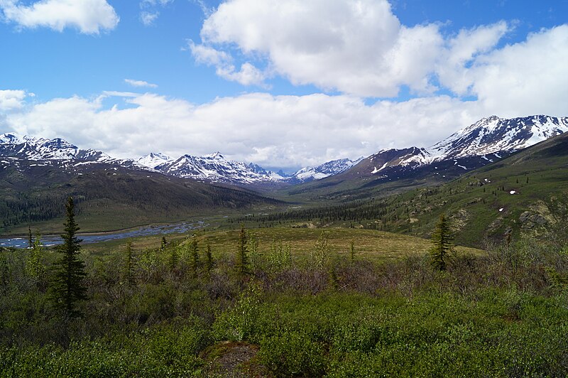 File:Tombstone Territorial Park 2023-06-12.jpg