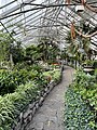 Allan Gardens Conservatory