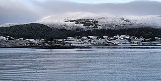 Leinøya