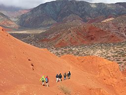 a group, walking