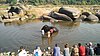 Watch elephant bathing