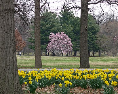 Cómo llegar a Tower Grove Park en transporte público - Sobre el lugar