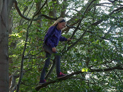 Девочка лазает по дереву