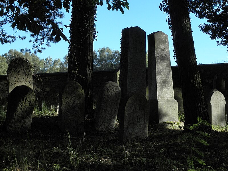 File:Trhový Štěpánov, židovský hřbitov - panoramio (2).jpg