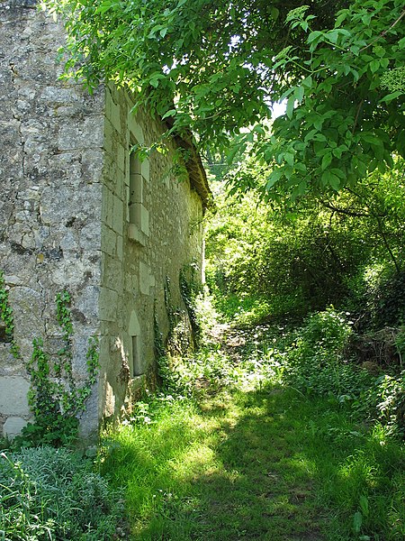 File:Trou de verdure.jpg