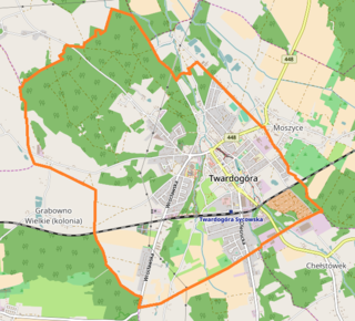 Mapa konturowa Twardogóry, blisko centrum na prawo znajduje się punkt z opisem „Bazylika Matki Bożej Wspomożenia Wiernychw Twardogórze”