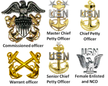 U.S. Navy current and former cap devices. US Navy Cap Devices.png