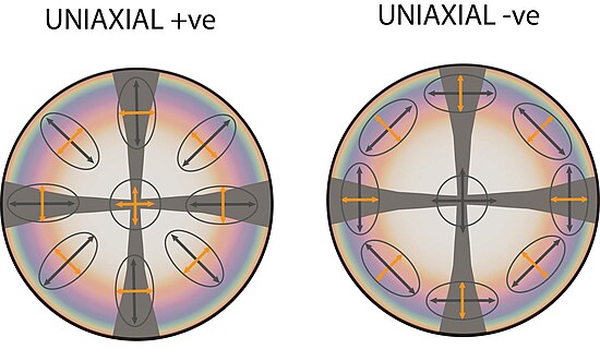 Sketches of uniaxial interference figures, viewed along the optic axis of each mineral. The colours approximate birefringence colours which might be seen if this were a mineral with second order maximum birefringence. The dark "maltese cross" pattern is characteristic of uniaxial minerals. Also shown are schematics of the shape of a cross section through the mineral's optical indicatrix (recording its refractive index in 3D) that would be seen at each position. The elongated direction could be distinguished by adding a sensitive tint plate to the microscope, letting the user discriminate between "uniaxial positive" (left) and "uniaxial negative" (right) minerals. Uniaxial interference figures.jpg