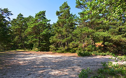 Vägbeskrivningar till Vånsholmen med kollektivtrafik