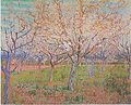 Van Gogh - Obstgarten mit blühenden Aprikosenbäumen.jpeg