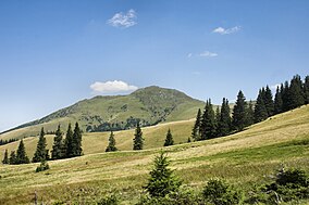 Vedere panoramică, Vârful Farcău