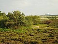 View south from Dunwich Heath - geograph.org.uk - 192558.jpg