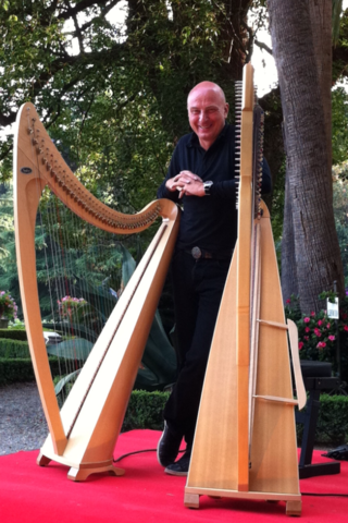 <span class="mw-page-title-main">Vincenzo Zitello</span> Italian composer and harpist (born 1956)