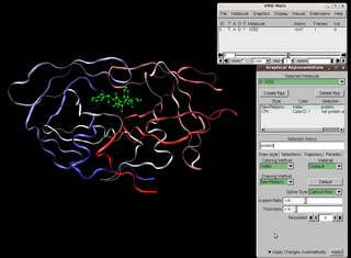 <span class="mw-page-title-main">Visual Molecular Dynamics</span> Visualization and modelling software