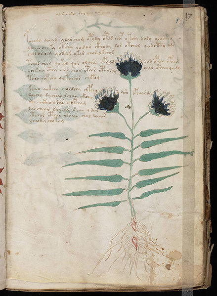 File:Voynich Manuscript (33).jpg