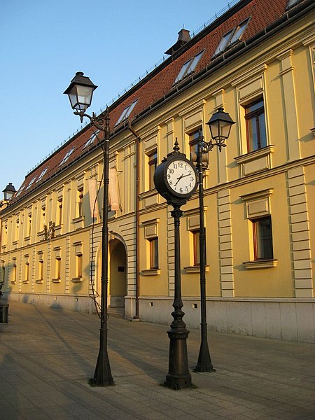 File:Vulturul Negru, Baia Mare, jud Maramures.jpg