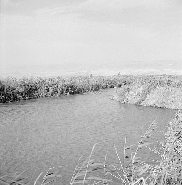 File:Water, vermoedelijk behorend bij irrigatiewerk, met rietkragen, Bestanddeelnr 255-2929.jpg