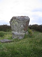 Withens Wethens - geograph.org.uk - 59759.jpg