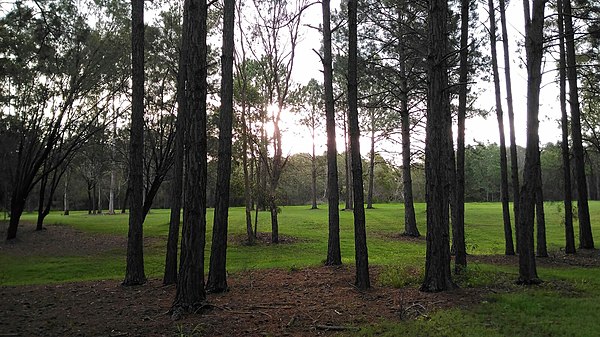 Malinya Place Park, 2017