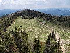 Widok z wieży widokowej na Lubaniu