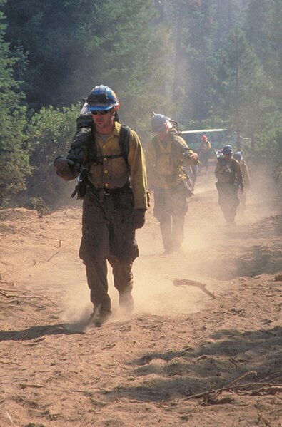 File:Wildland firefighters in the United States.jpg