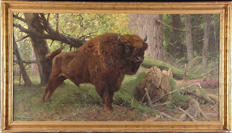 File:Wilhelm Kuhnert - Wisentstier in het woud van Bialowieza, Polen - 0203 - Rijksmuseum Twenthe.jpg